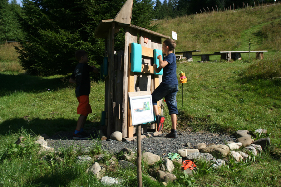 Vernetzung beider Gehirnhemisphären 